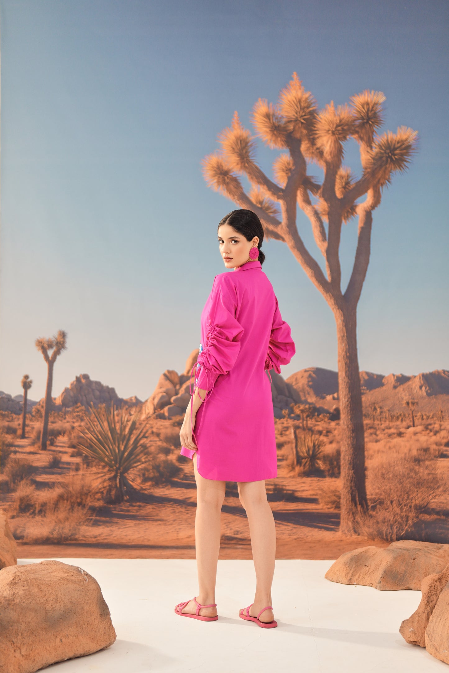 SERE Gathered Dress