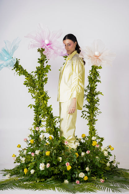 Sunflower Chic Collection