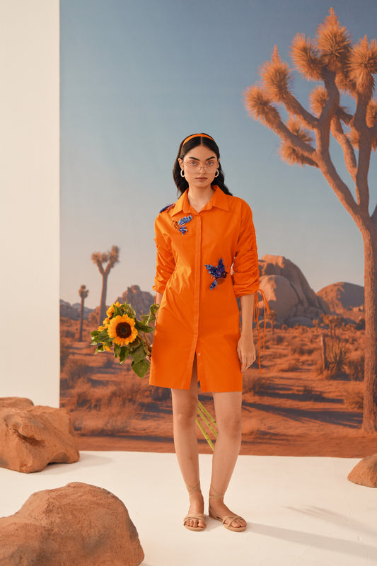TAWNY Gathered Dress